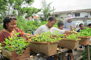 Gardening